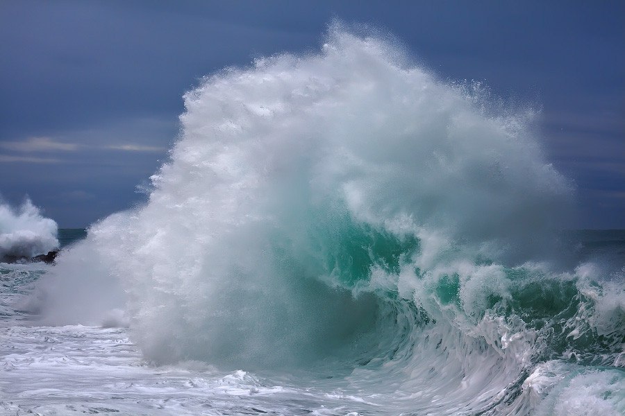    Giovanni Allievi. - 7