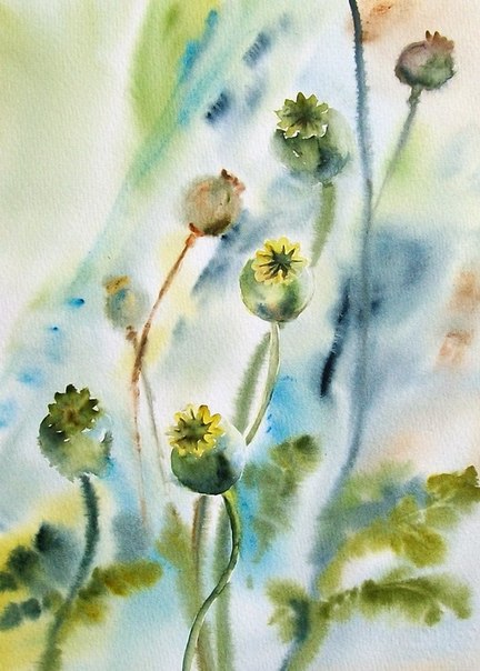        Barbara Pingot /