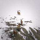 ���� ���, ������, 66 ��� - ��������� 5 ������ 2015 � ������ ���� ����������