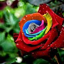 ���� Mr_h, �������, 46 ��� - ��������� 6 ������ 2015 � ������ ������ ��������
