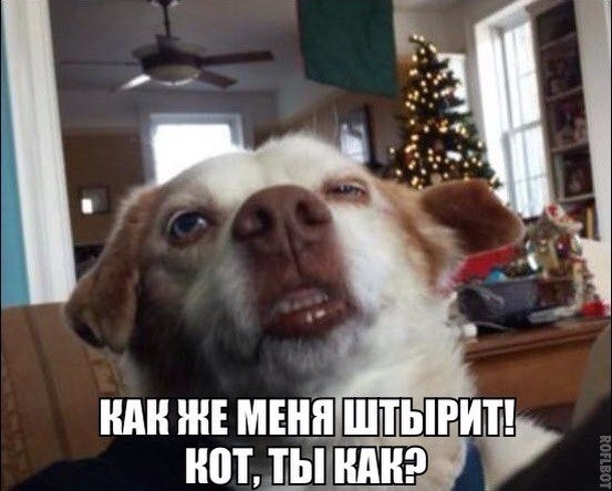    :-) - 9  2015  18:40