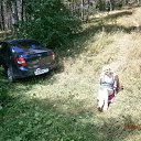 ���� �������, ���������, 66 ��� - ��������� 8 ������ 2015 � ������ ���� ����������