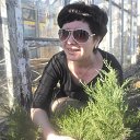 ���� �������, ����-����������� - ��������� 22 ������ 2015 � ������ ���� ����������