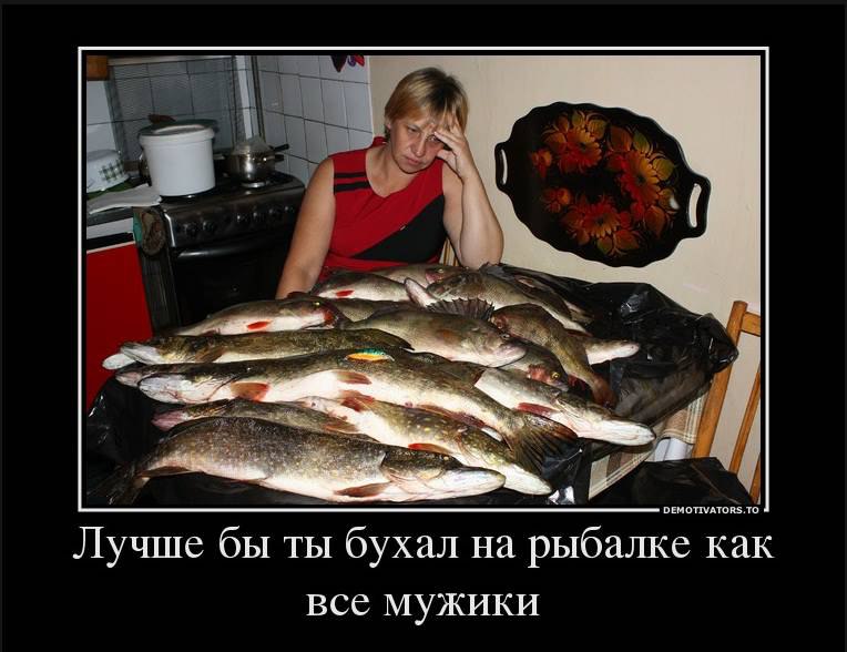    , : -   ,    ...