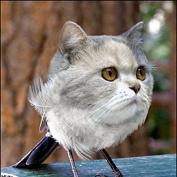 ���� ����, �������, 50 ��� - ��������� 20 ����� 2015