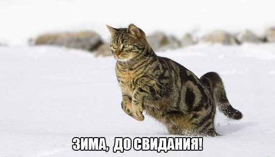       - 2  2015  23:55