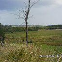 ���� ������� ��������, ������, 42 ���� - ��������� 30 ������ 2015 � ������ ���� ����������