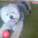 ����� ������� �� ������� ���� ����������