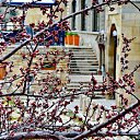  ,  -  18  2015        Ҩл