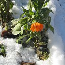 ����� �� �������... �� ������� ������ ��������