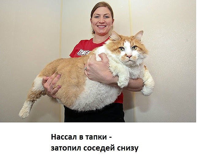 Samsung Galaxy S5 ().https://fotostrana.ru/away?to=/sl/O226