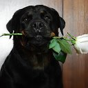 ���� Keti, �������, 54 ���� - ��������� 17 ������� 2015 � ������ ������ ��������