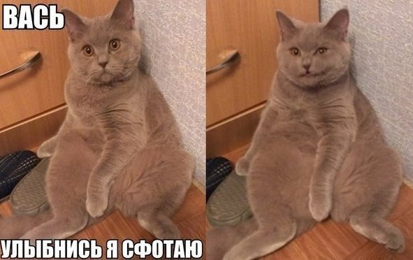  - 17  2015  18:41