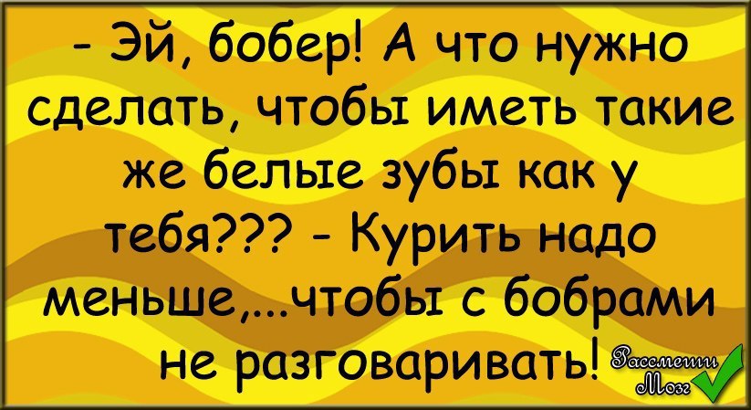  - 13  2015  20:55