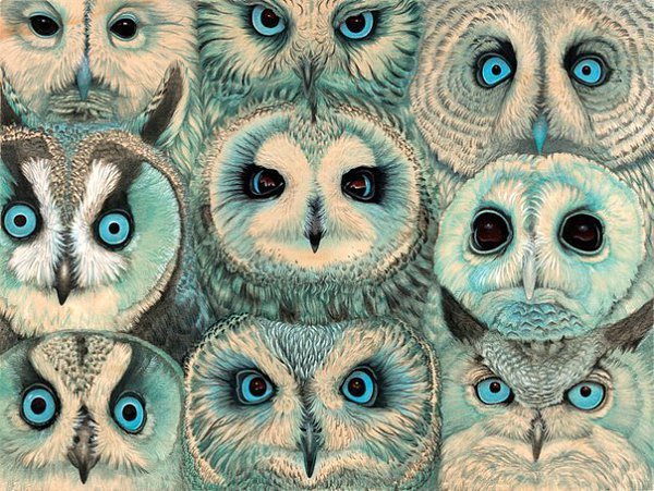 Art & Fun - 25  2015  12:35
