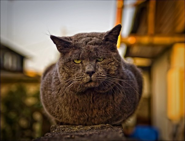 .   https://fotostrana.ru/away?to=/sl/KE2