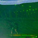 ���� ���������, ������, 33 ���� - ��������� 27 ����� 2015 � ������ ���� ����������