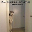 ���� ��������, ������, 33 ���� - ��������� 7 ������� 2015 � ������ ���������