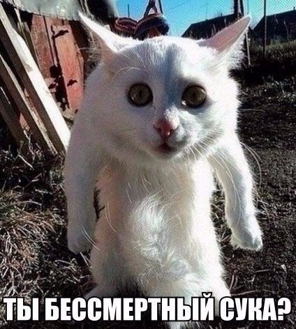       :