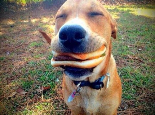 Небольшая порция позитивусов для раскачки = ).Женский спорт, праздники, дети, животные, знаменитости ... - 14