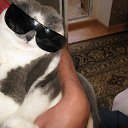 ���� ������. �� �����., ���� - ��������� 31 ������ 2015 � ������ ������ ��������