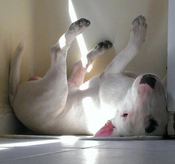 (2 часть статьи).КРИТИЧЕСКИЕ ПЕРИОДЫ СОЦИАЛИЗАЦИИ========================Под социализацией понимают ...