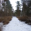 , , 50  -  10  2015    