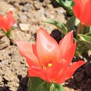  , , 60  -  13  2015      11.04.15.