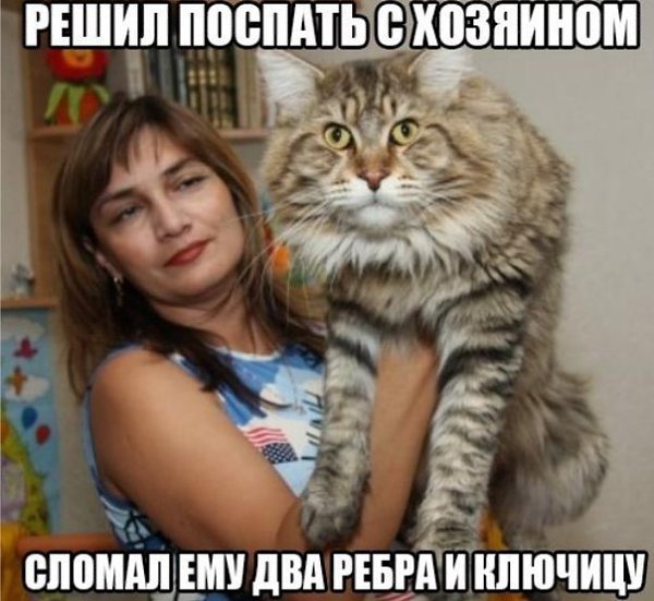 �� ����� ���������. - 2