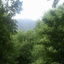  , , 66  -  9  2015   2