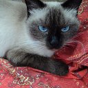 ..    &quot;8 &quot;