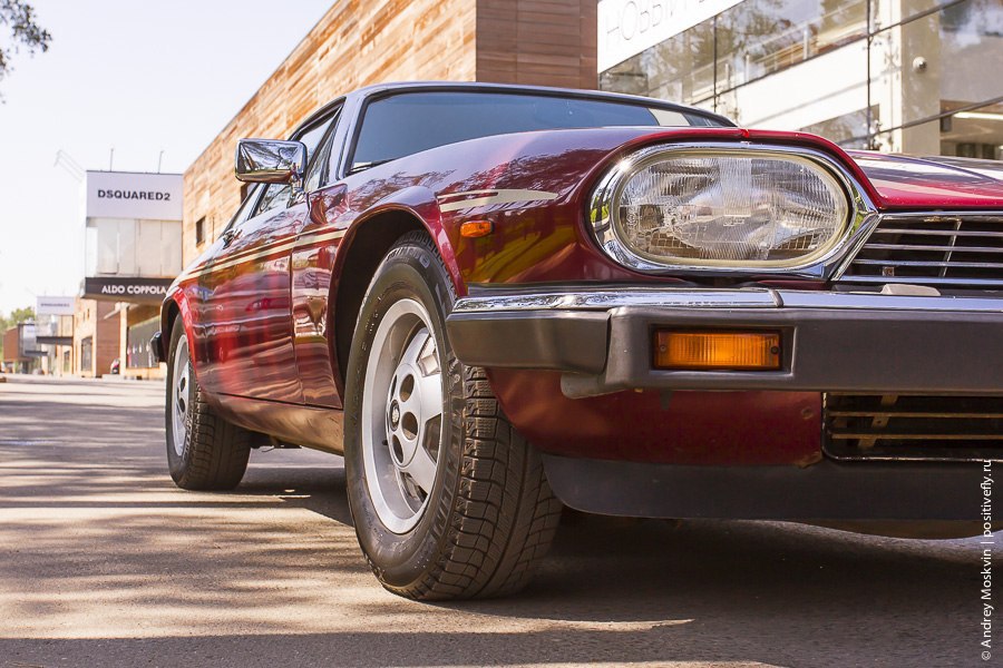Jaguar XJS HE, 1983. : 260 /  100 /: 7.5  : ... - 3