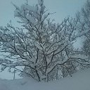 ���� �����, ��������� ������, 59 ��� - ��������� 23 ����� 2015 � ������ ���� ����������