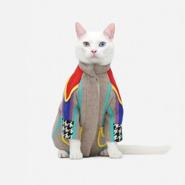 �������� ����� - 4