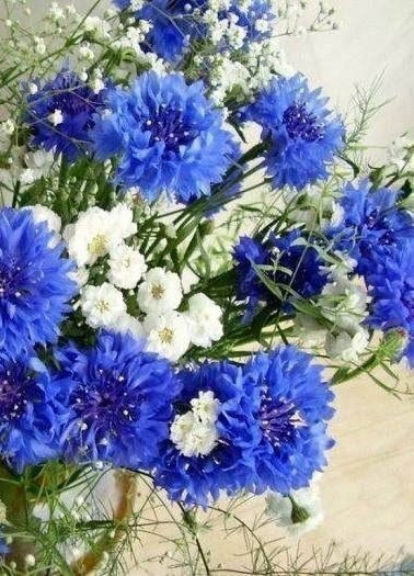 ,   !).   https://fotostrana.ru/away?to=/sl/KE2 - 4
