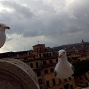 ���� �����, �������, 43 ���� - ��������� 15 ������� 2014 � ������ ���� ����������