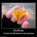 ���� ����, ������, 45 ��� - ��������� 19 ������� 2014 � ������ ������ ��������