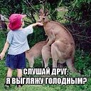 ���� ��������, ������, 33 ���� - ��������� 7 ������� 2015 � ������ ������ ��������