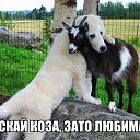 ���� ������, ���������, 68 ��� - ��������� 26 ������ 2015 � ������ ������ ��������