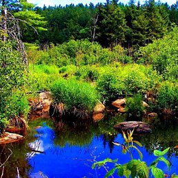 ��������, ������ ��������, 56 ���