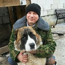 ���� S����, �����-��������� - ��������� 1 ������ 2015 � ������ ���� ����������