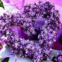 ���� �������, �����������, 61 ��� - ��������� 22 ����� 2015 � ������ ���� ����������