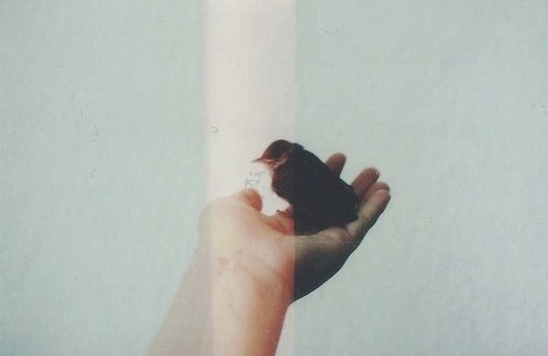 В наши дни ужасно много людей, только нет человека. © М.Горький