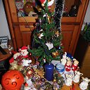  Gelya   20, , 57  -  25  2014    