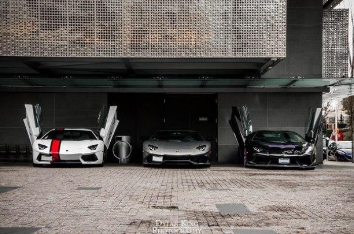 Lamborghini Aventadors - 4