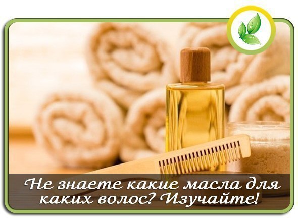 Не знаете какие масла для каких волос? Изучайте! ... | Всё о здоровье ...