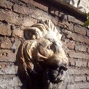 ���� �����, �������, 43 ���� - ��������� 15 ������� 2014 � ������ ���� ����������