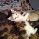 ���� ������, �����-��������� - ��������� 20 ������ 2015