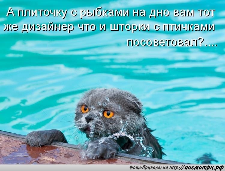 ��� ���� � ����� �� �� - 19 ������ 2015 � 04:32