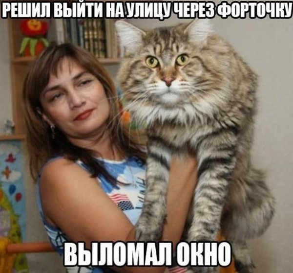 �� ����� ���������. - 4